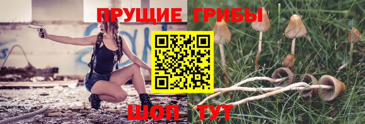 Галлюциногенные грибы прущие грибы Россия